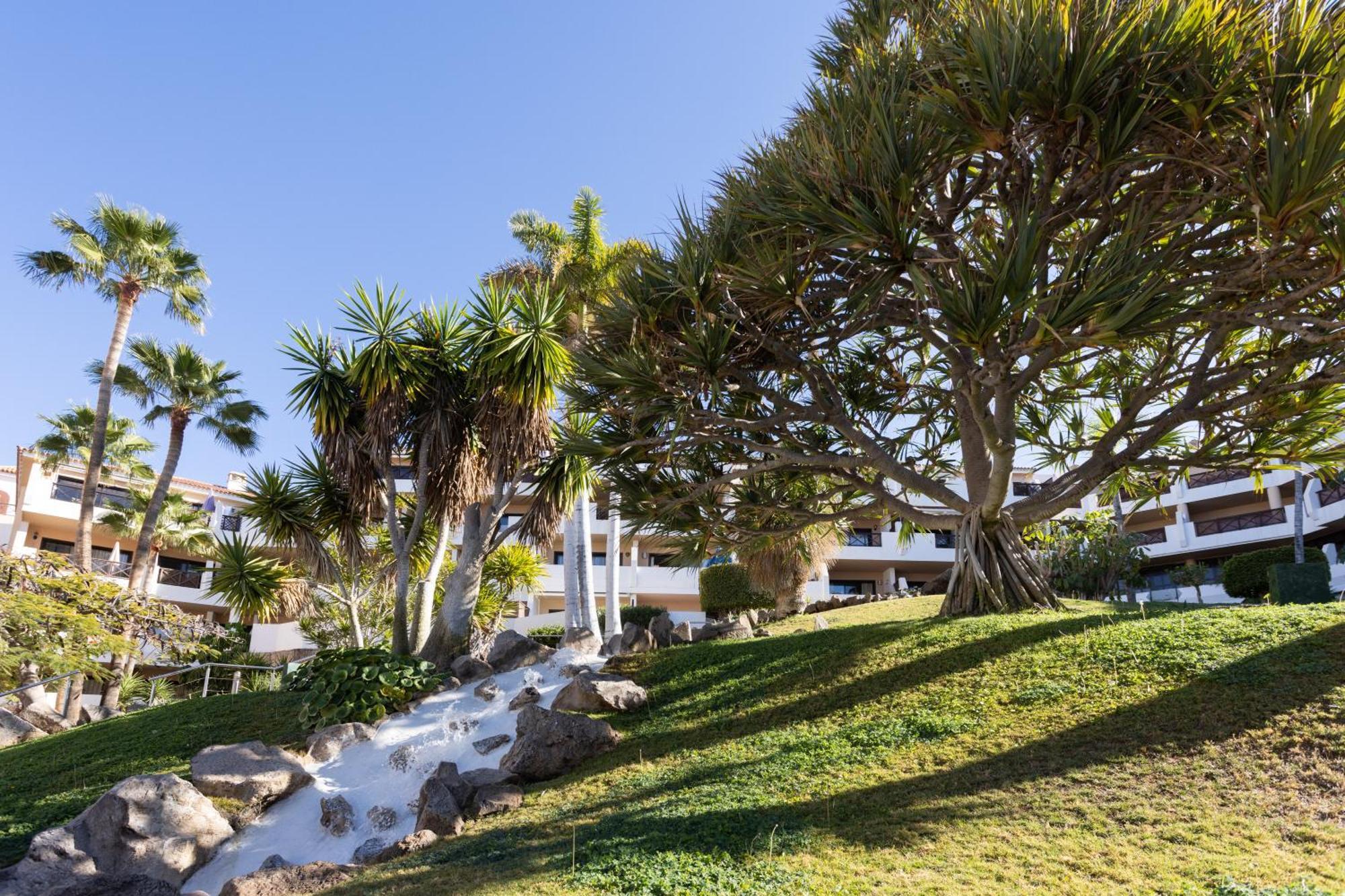 Albatros 433B Holiday Home In Tenerife South San Miguel de Abona Bagian luar foto